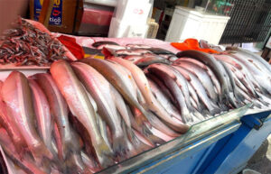 Pescado comienza a llegar a Tarija pero en pocas cantidades y con precios variables