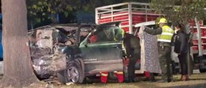 Conductor muere tras brutal choque contra un árbol en la avenida Víctor Paz