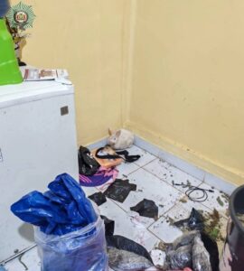 Hallan un conejo entre bolsas de marihuana y lo ponen bajo observación