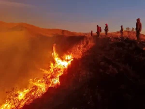Incendios reabren debate por recursos para emergencias en Tarija