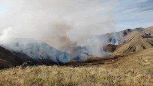 Gobierno repondrá las casas de dos familias afectadas por los incendios en Tarija