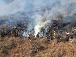 Incendio en Churquis consumió más de 100 hectáreas y puso en riesgo a Sama