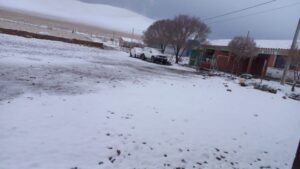 ¡Tarija bajo cero! Nevada deja ganado muerto, cultivos afectados y rutas bloqueadas
